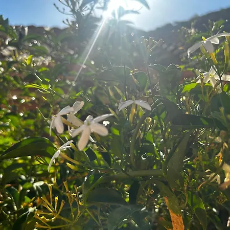 Sole Vista Mare Super Panoramica Dom wakacyjny Costa Rei