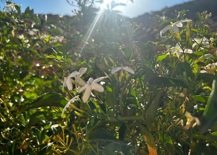 Sole Vista Mare Super Panoramica 度假居 哥斯达雷